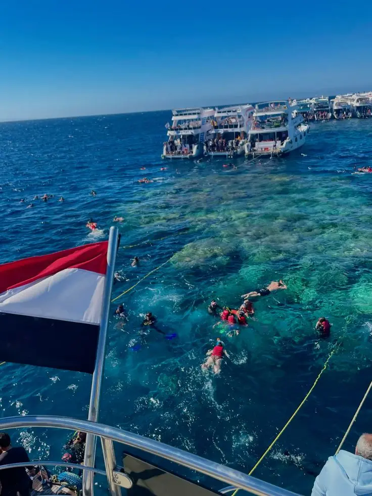 Red Sea experience