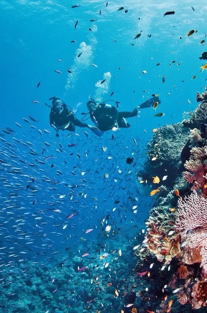 Diving adventure