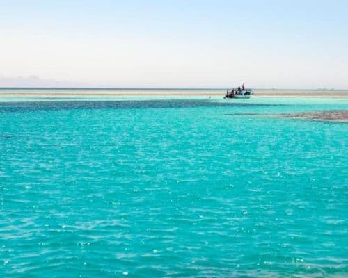Red Sea Trips