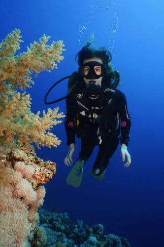 Scuba Diving Experiences