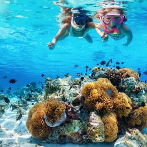Sharm Tiran Island cruise Snorkel & Dive W Lunch