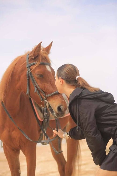 Horse Riding