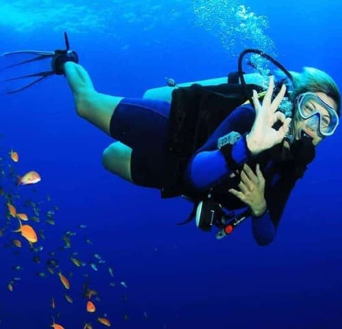 Guided Shore Scuba Diving at 2 Dives