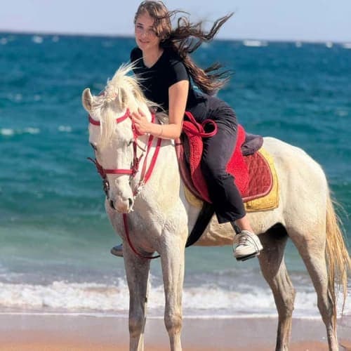 Sharm Desert and Sea Horse Riding with Transfers